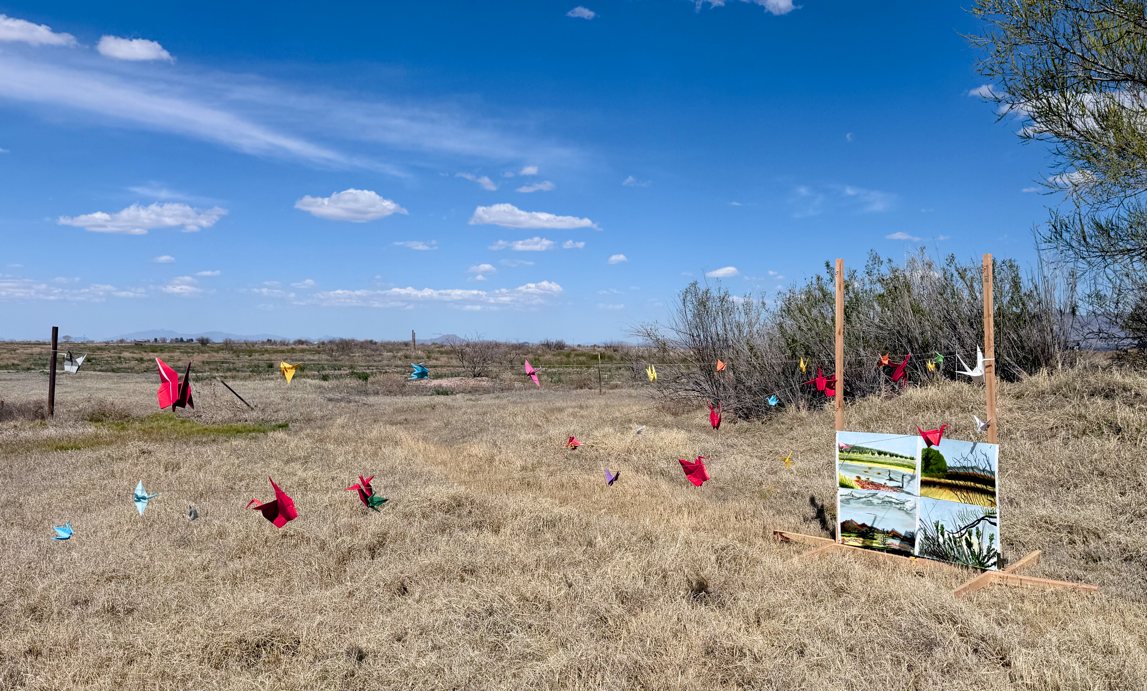 Image of the installation, Plein Air, at Whitewater Draw.